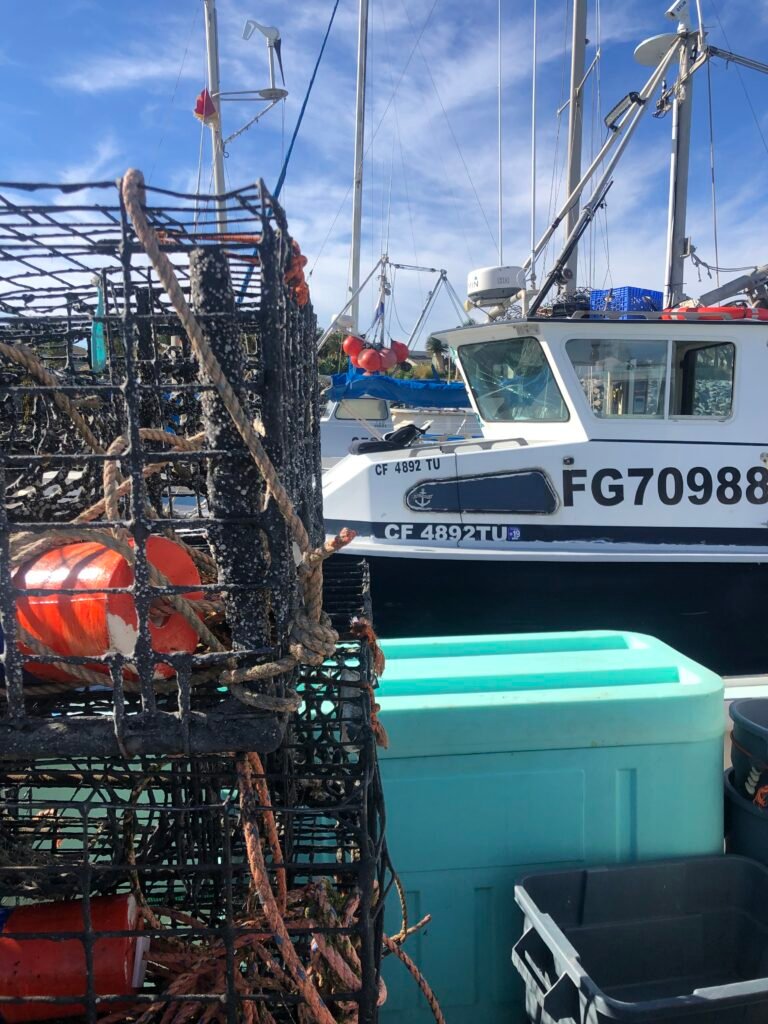 lobster-traps