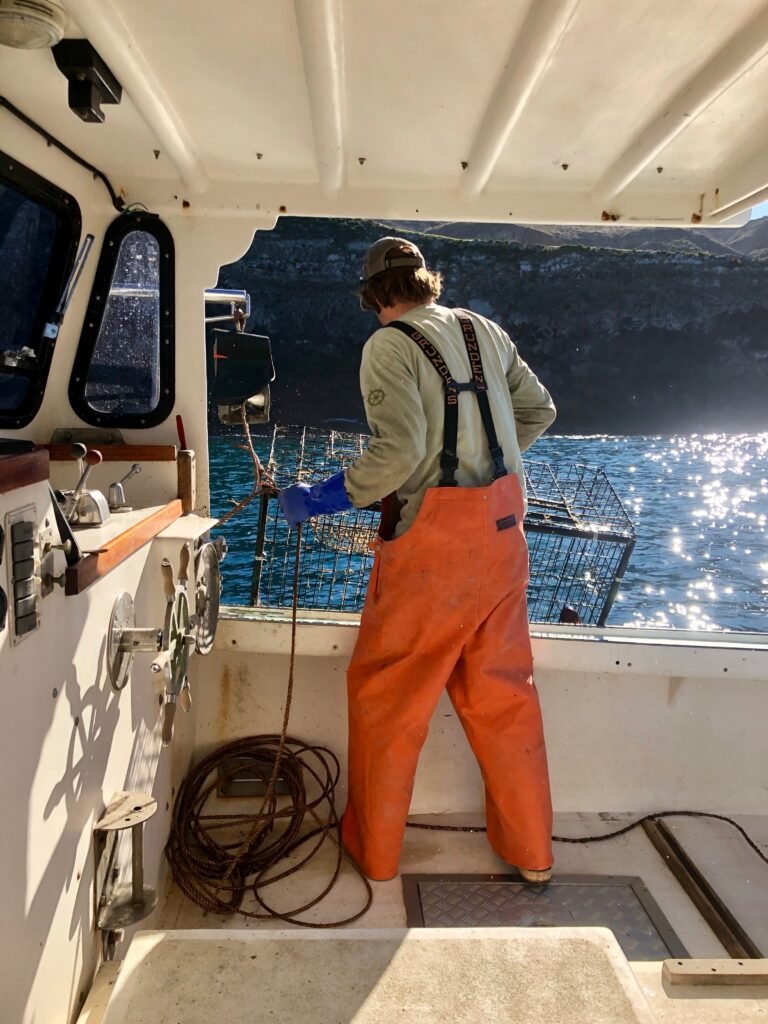 California-lobster-fishery