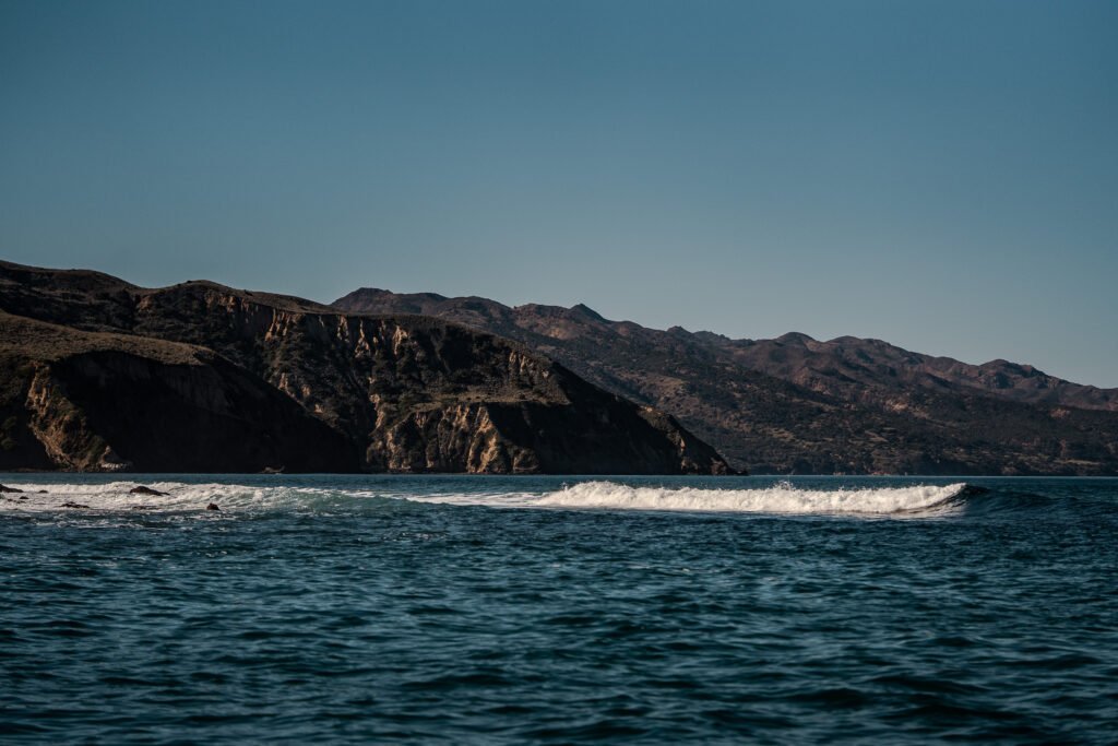 bri-dwyer-photography-CA