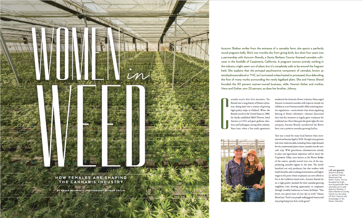 women-weed-megan-waldrep-writer