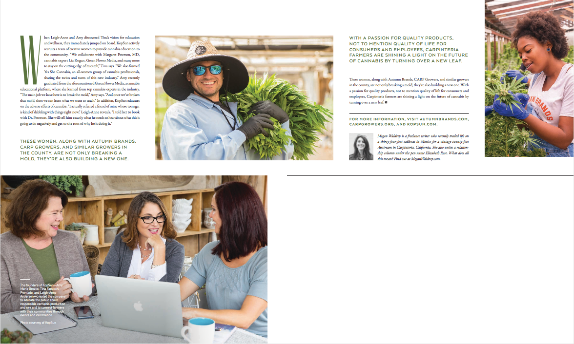 women-weed-megan-waldrep-writer