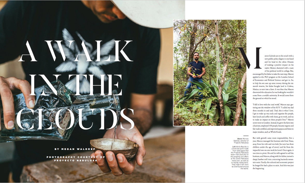 vie-magazine-megan-waldrep-writer