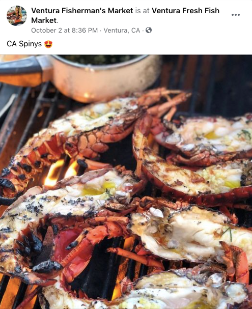 Kat-jones-ventura-fresh-fish