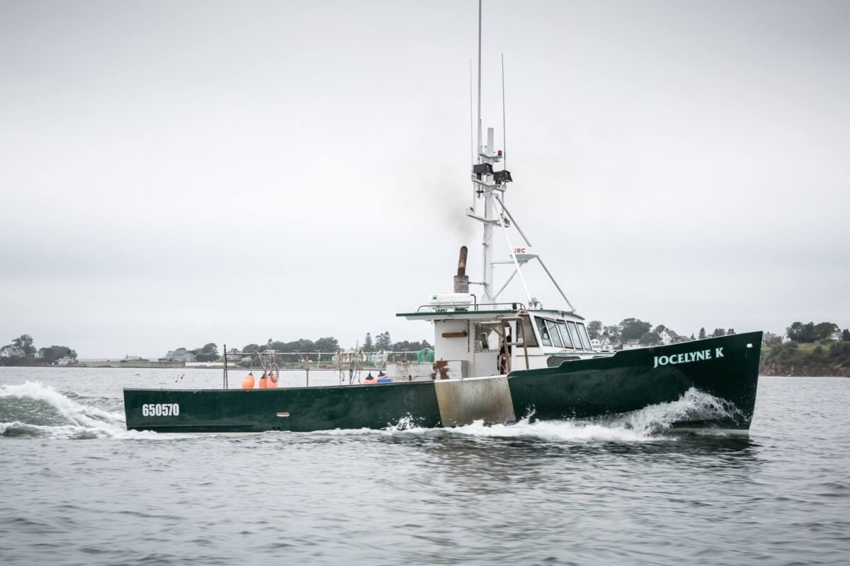 maine-lobster-aragosta-mama