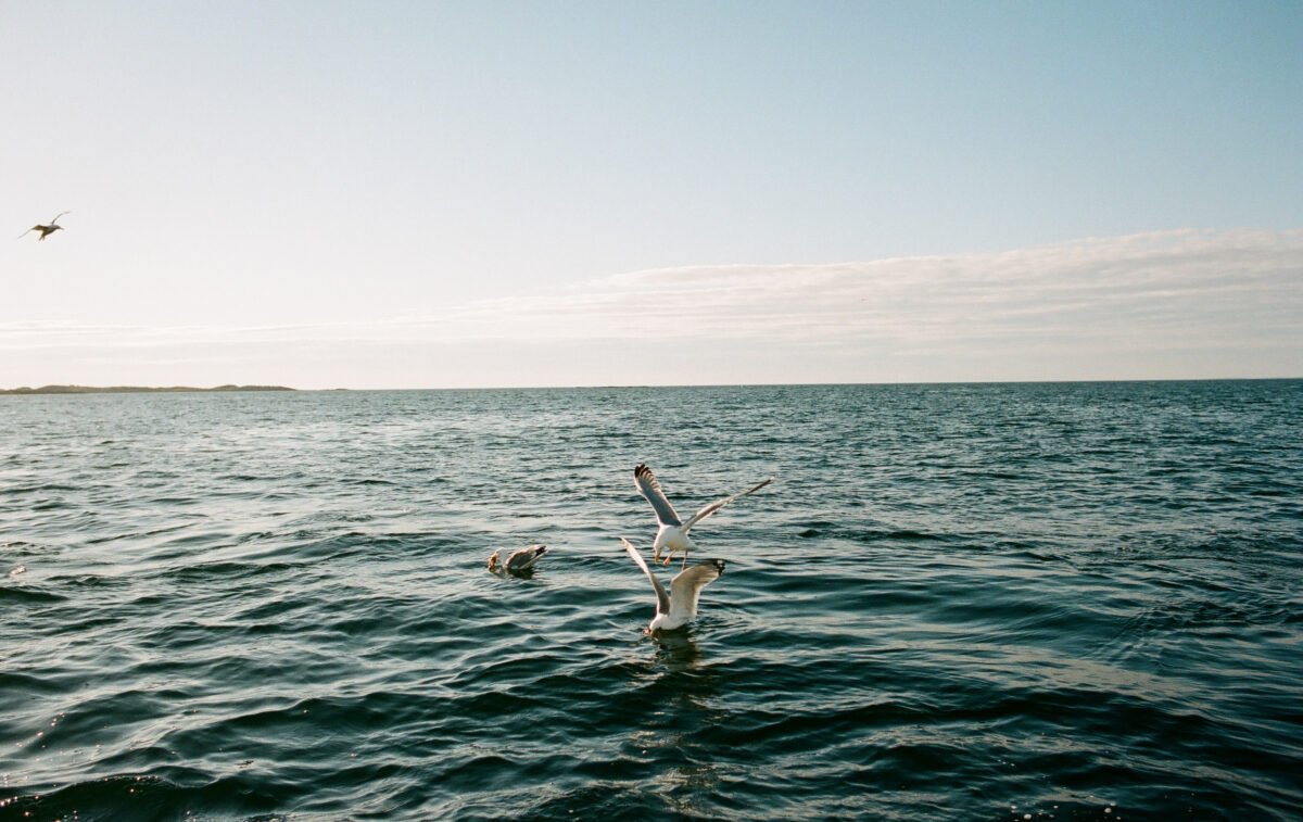 HannahMcGowan_commercial_fishing_fishermen_women