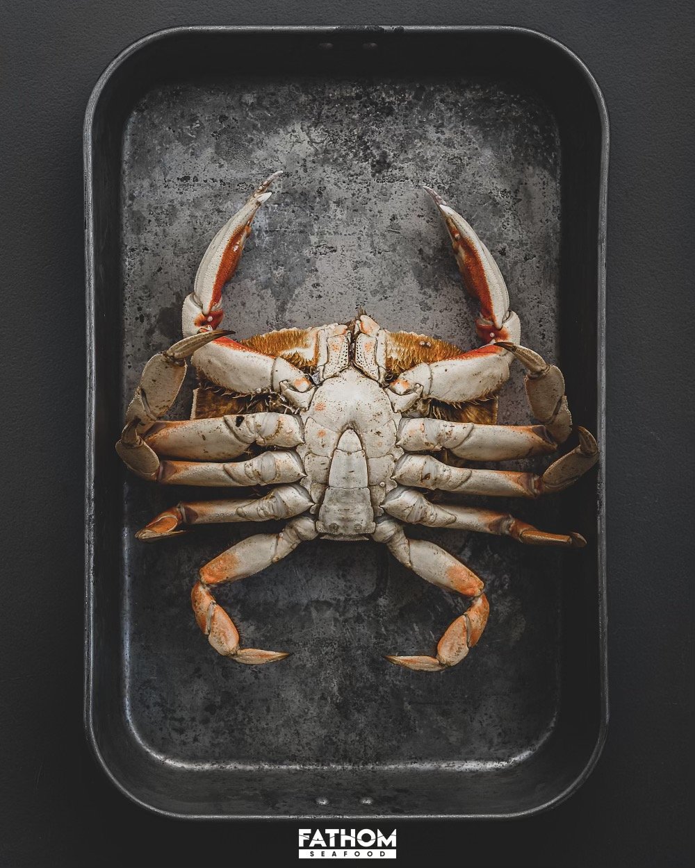 dungeness-crab-fathom-seafood-gordon-Fox