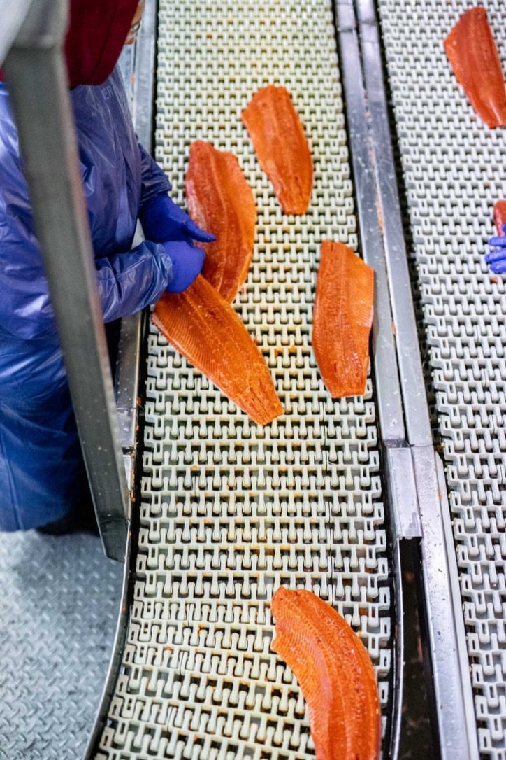 bri-dwyer-images-salmon-processing