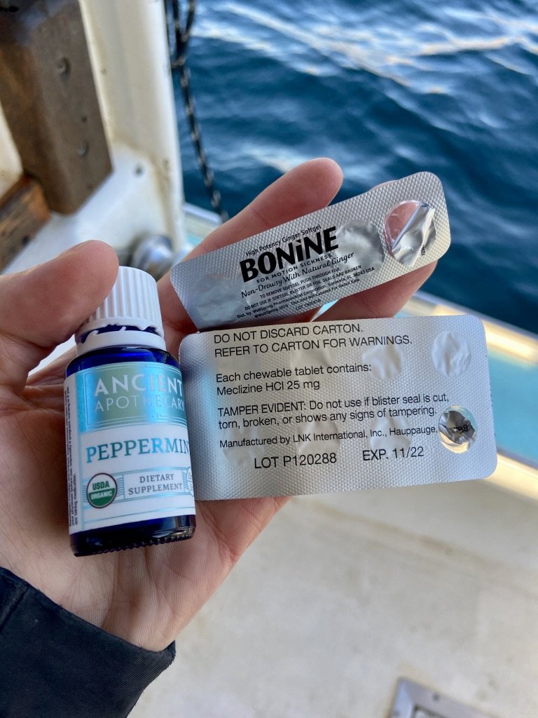 seasickness-remedies-megan-waldrep